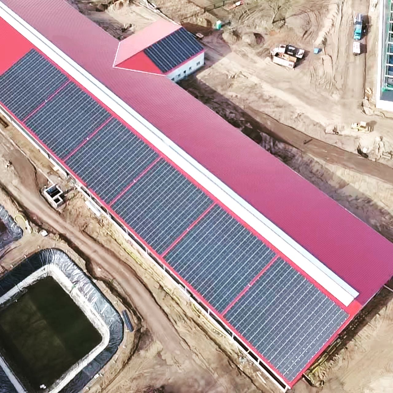 Rinderzucht in Zehdenik 750 Kwp