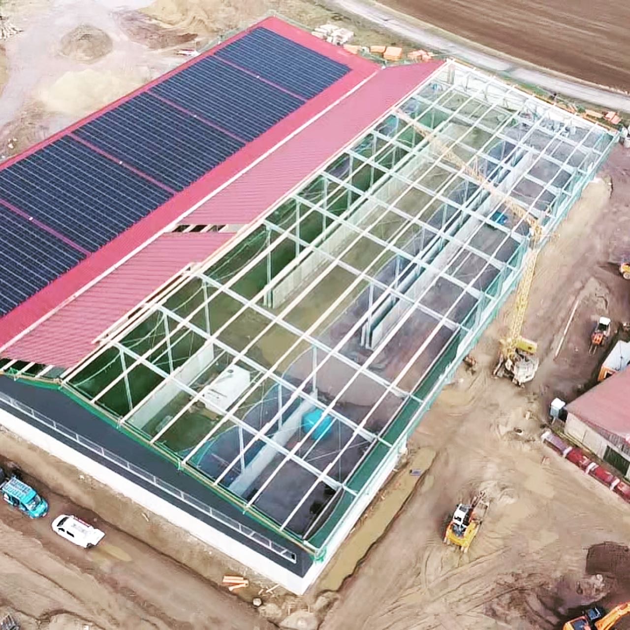 Rinderzucht in Zehdenik 750 Kwp