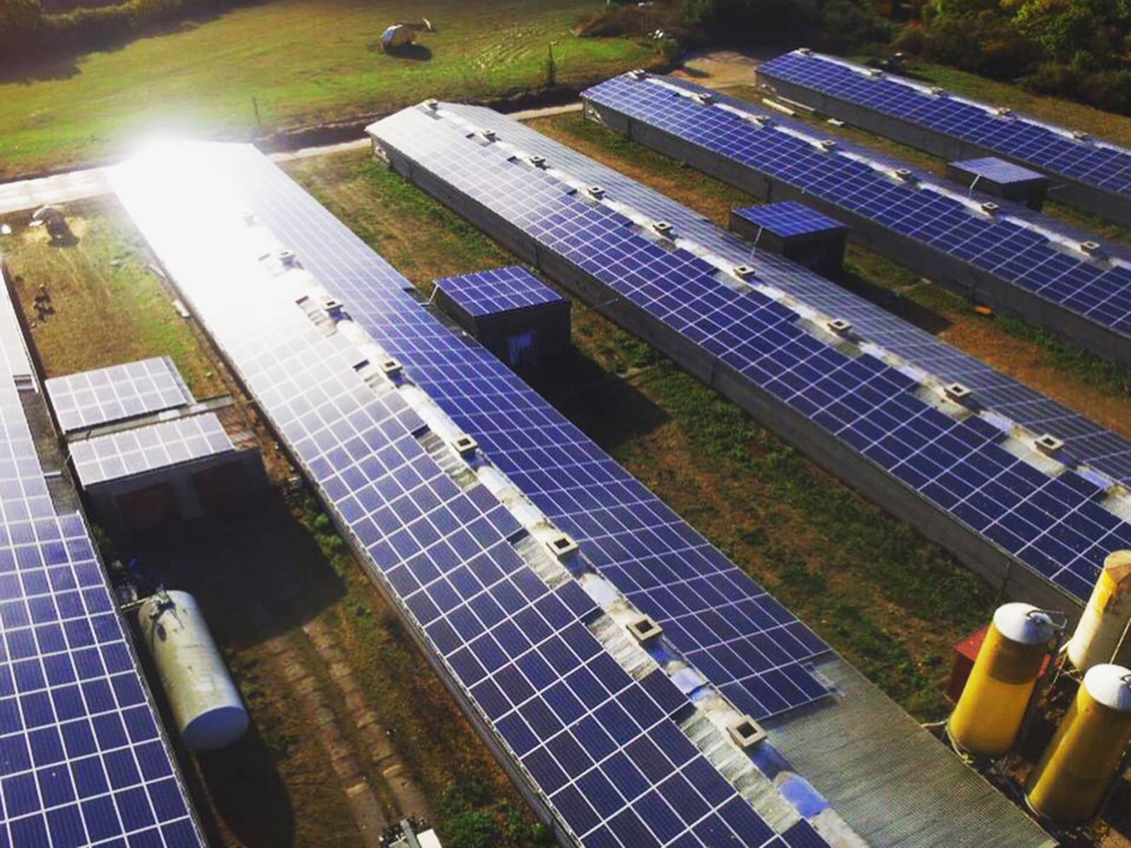 Geflügelzucht 900 Kwp